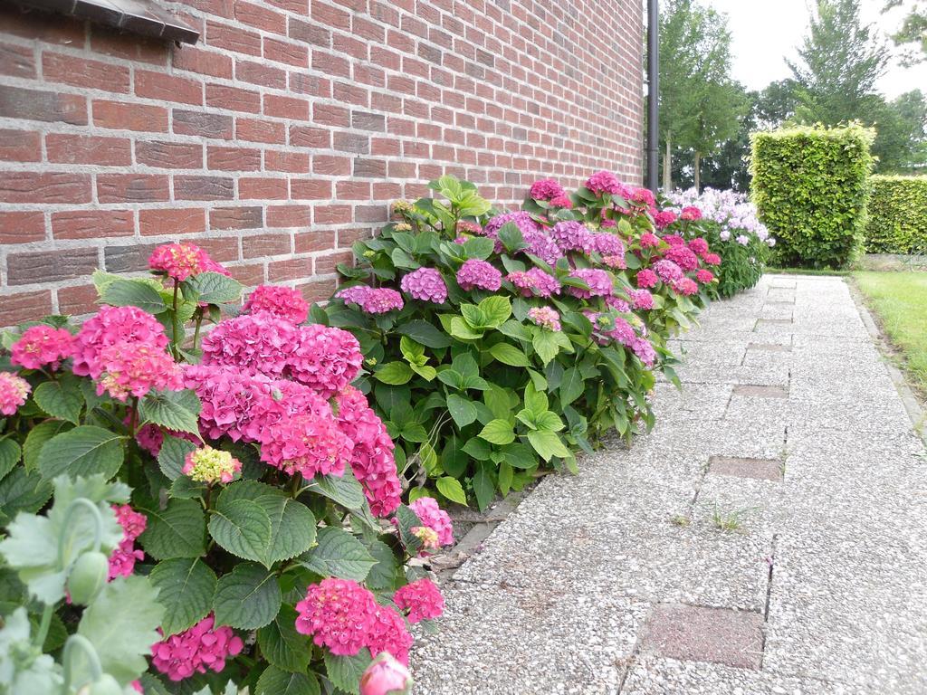 Nicolaashoeve Beemster Bed & Breakfast Noordbeemster Exterior photo